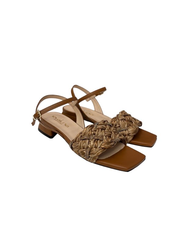 Photoroom_20240813_182422